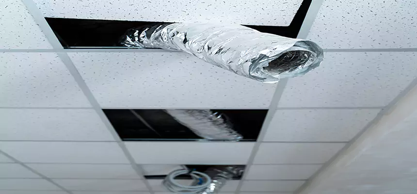 Our Air Duct Pet Hair Removal Services in Germantown, TN