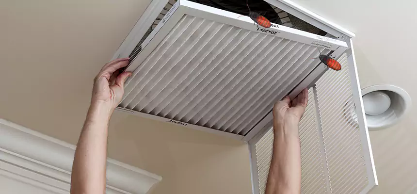 Our Insect Removal from Air Ducts Services in Germantown, TN