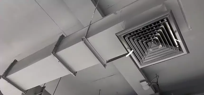 Our Pest Removal From Ducts Services in Germantown, TN