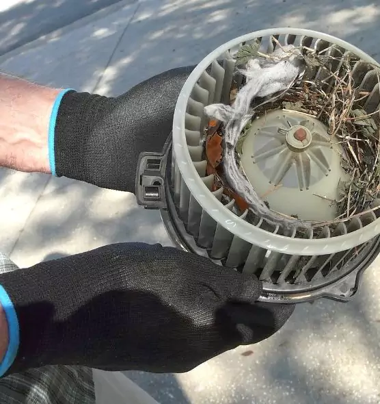 About Air Duct Mice Removal in Germantown, TN