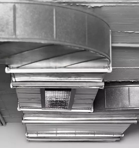 Professional Air Duct Pest Removal in Germantown, TN