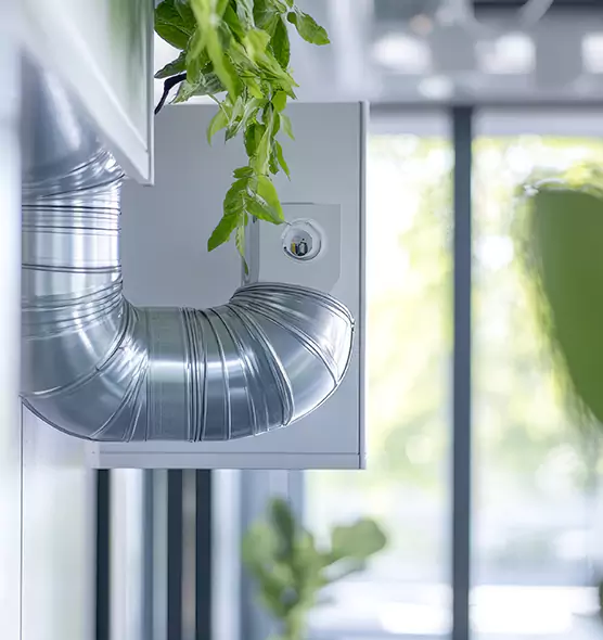 Professional Eco-Safe Dryer Vent Cleaning in Germantown, TN