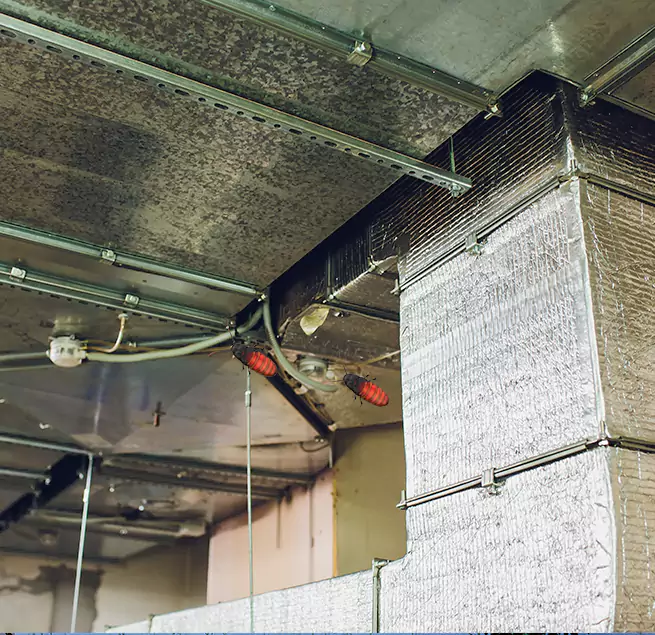 Why Homeowners & Businesses Trust Us in Germantown, TN?