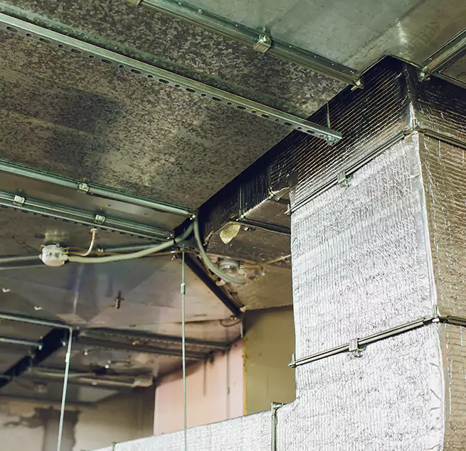 Why Homeowners & Businesses Trust Us in Germantown, TN?